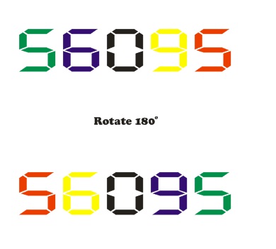 56095